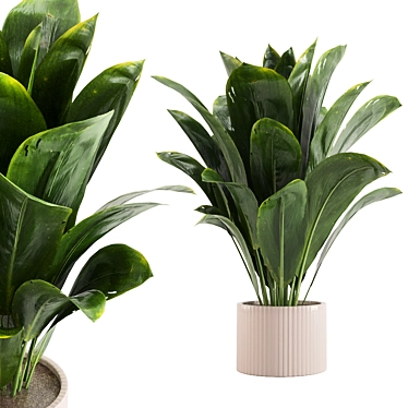  Lush Greens Indoor Plants Set 3D model image 1 
