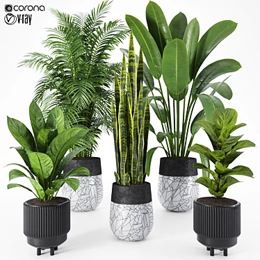 Tropical Garden Plant Set 3D model image 1 