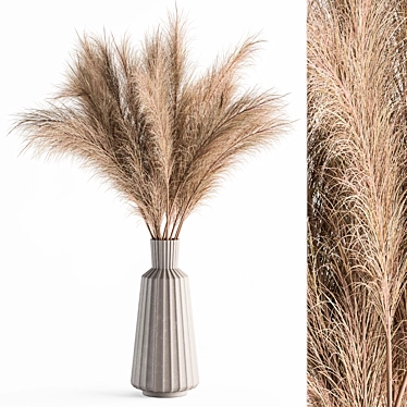 Natural Pampas Grass Bundle Set 3D model image 1 