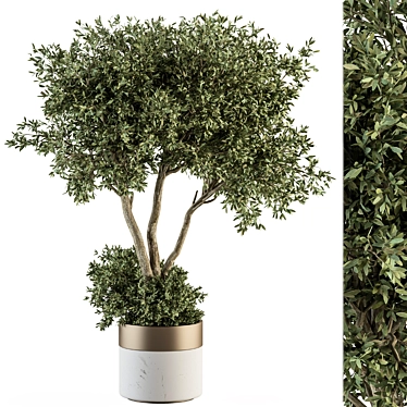 Big Pot Plant Set: Outdoor Beauty 3D model image 1 