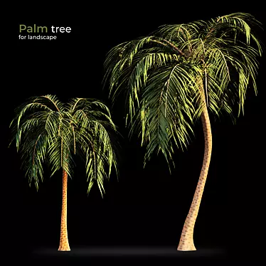 Tropical Bliss: Palm Tree Paradise 3D model image 1 