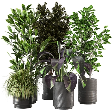 Indoor Greenery Set 234 3D model image 1 