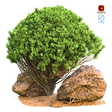 Elevate your Outdoor Space with Outdoor_Plant_Vol_44! 3D model image 1 