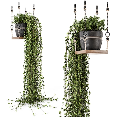 Boho Vibes: Indoor Hanging Plants 3D model image 1 