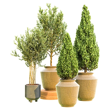 Outdoor Plant Vol. 45: 2015 Version 3D model image 1 
