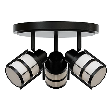 Winside 11.75" Flush Mount Light 3D model image 1 