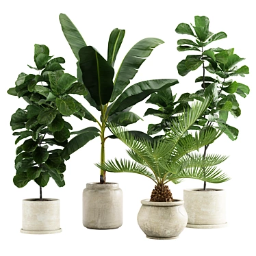 Tropical Indoor Plant Pack: 11 Exotic Varieties 3D model image 1 