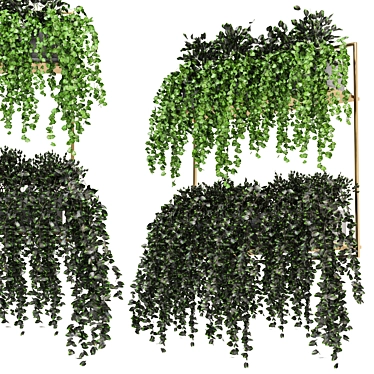 Metal Box Hanging Plants - Set 238 3D model image 1 