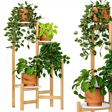 Premium Indoor Plant Collection 5 3D model image 1 