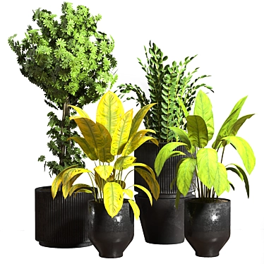 Tropical Oasis Indoor Plant Set 3D model image 1 