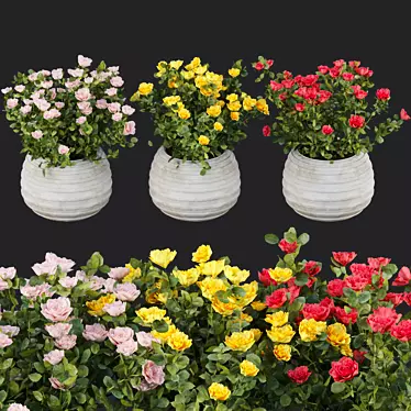 3D Rose Flowering Bushes Collection 3D model image 1 