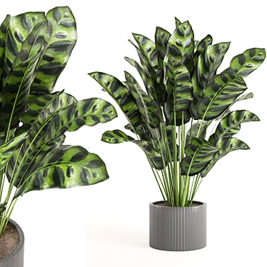 Playfully Green: Indoor Plants Collection 3D model image 1 