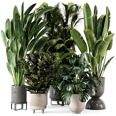 Modern Indoor Plants in Ferm Living Bau Pot - Set of 2 3D model image 1 