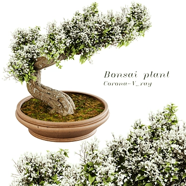  Exquisite Bonsai Tree - 2015 Edition 3D model image 1 