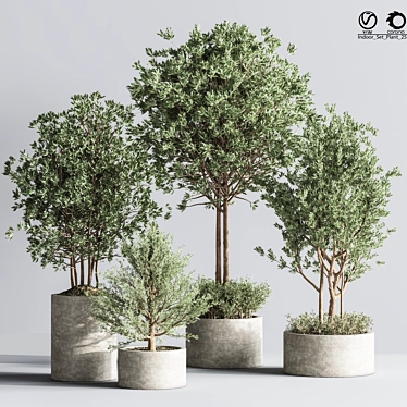 Indoor Plant Set: Greenery Delight 3D model image 1 