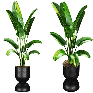 Premium Plant Collection 3D model image 1 