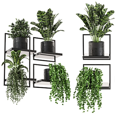 Indoor Metal Box Hanging Plants Set 3D model image 1 