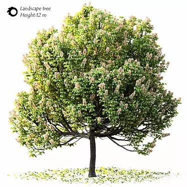 14m Landscape Tree - Realistic 3D Model 3D model image 1 