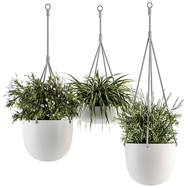 Botanical Beauties - Hanging Plant Ensemble 3D model image 1 