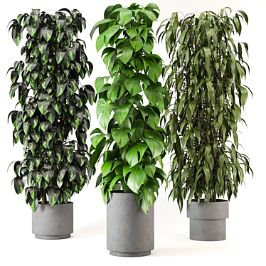 Greenery Haven - 3D Indoor Plants 3D model image 1 