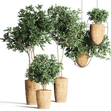 Indoor Plant Collection - 55 Varieties 3D model image 1 