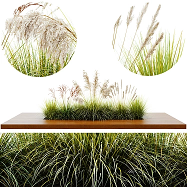 Stunning Outdoor Plant Set 3D model image 1 