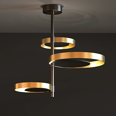 Elegant Circle Ceiling Lamp 3D model image 1 