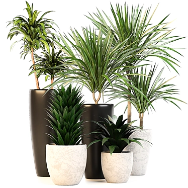 Lush Indoor Oasis: 10 Dracaena Set 3D model image 1 