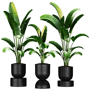 Premium Plant Collection 3D model image 1 