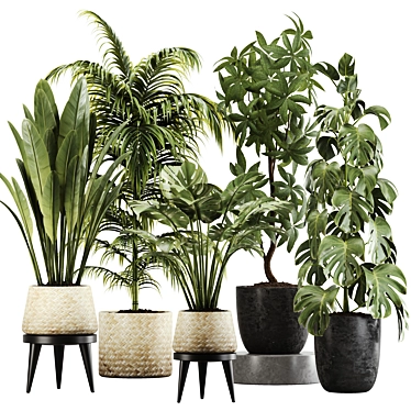 Botanical Bliss: Indoor Plant Set 20 3D model image 1 