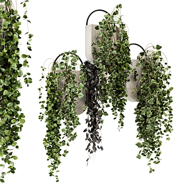 Concrete Pot Hanging Plants - Set 528 3D model image 1 