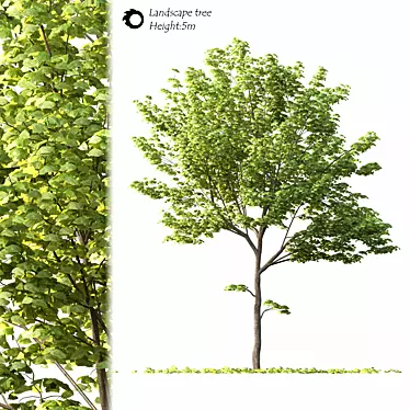 2014 Landscape Tree Sculpture 3D model image 1 