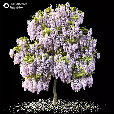 2014 Landscape Tree: 8m Height, Corona Render 3D model image 1 