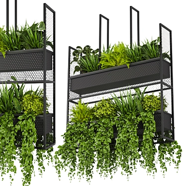 Green Oasis Hanging Plant Collection 3D model image 1 