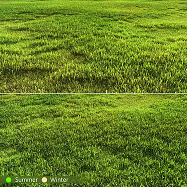 Versatile Grass Pack 3D model image 1 