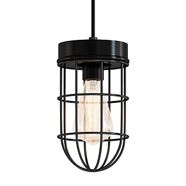 Vintage Black Barn Hanging Lamp 3D model image 1 