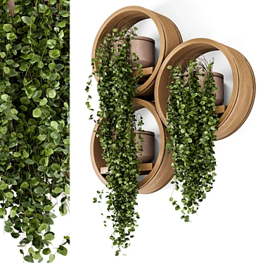 Concrete Pot Hanging Plants Set 3D model image 1 