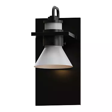 Elegant Dark Sky Outdoor Sconce 3D model image 1 