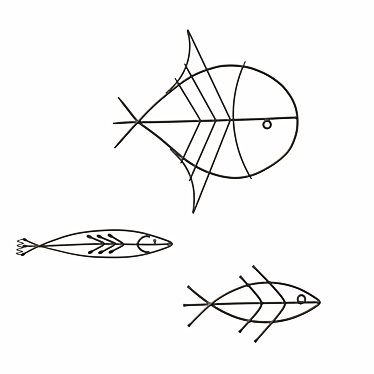 Lupinus: three metal wire fish