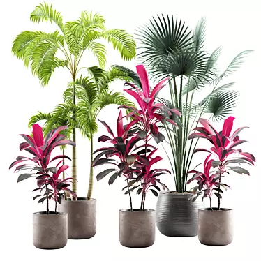 Tropical Indoor Plants Pack 3D model image 1 