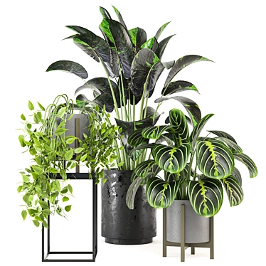 Green Oasis: Indoor Plants Set 3D model image 1 