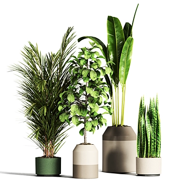 Indoor Plant Collection - Set of 59 3D model image 1 