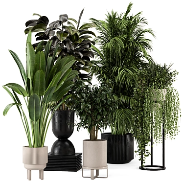 Ferm Living Indoor Plants: Bau Pot Large - Set 552 3D model image 1 