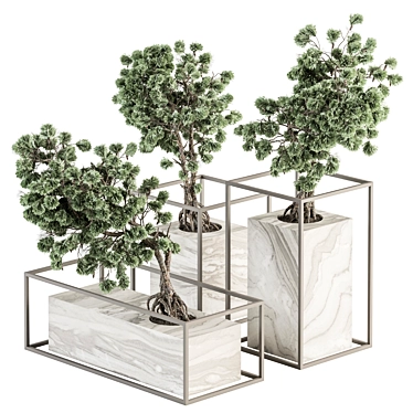 ZenMinds Bonsai Set: Indoor Plant Set 358 3D model image 1 