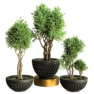 Stunning Indoor Plant Vol. 47 3D model image 1 