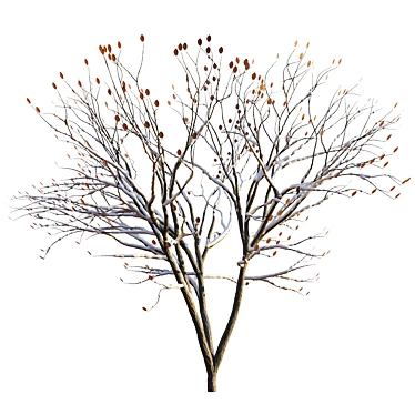 Frosty Arbor: Snow Tree 3D model image 1 
