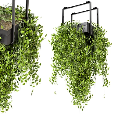 Metal Box Hanging Plants Set 3D model image 1 