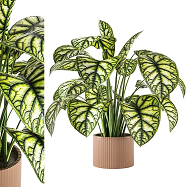 Houseplant Verdun Green