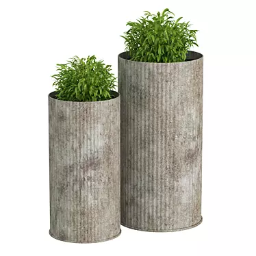 Double Greenery in Oversized Pots 3D model image 1 