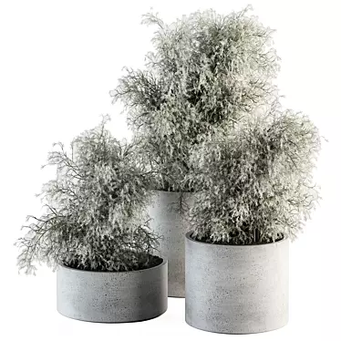 372 Indoor Plant Set: Bush & Plant in Pot 3D model image 1 